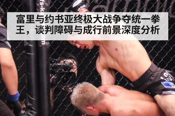 富里与约书亚终极大战争夺统一拳王，谈判障碍与成行前景深度分析
